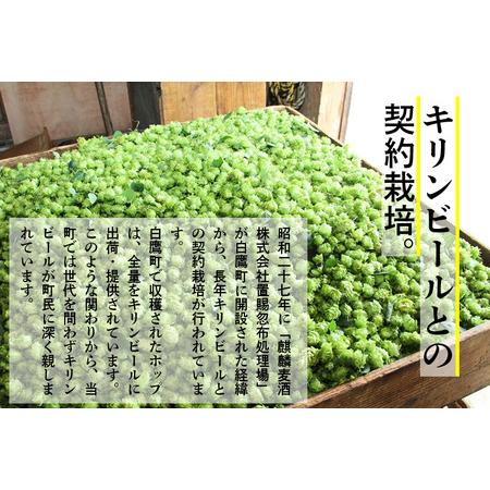 【まとめ売り】 ふるさと納税 《定期便6ヶ月》キリン クラシックラガー 350ml×24缶【1ケース】 山形県白鷹町 【Q1254085806】(44160円)