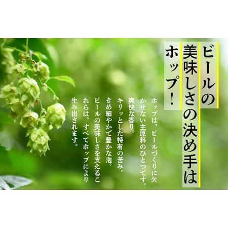 【まとめ売り】 ふるさと納税 《定期便6ヶ月》キリン クラシックラガー 350ml×24缶【1ケース】 山形県白鷹町 【Q1254085806】(44160円)