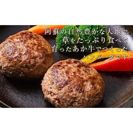 ふるさと納税 FKK19-225_【3ヵ月定期便】あか牛100％ハンバーグ（100g×10個） 熊本県 嘉島町 熊本県嘉島町_1