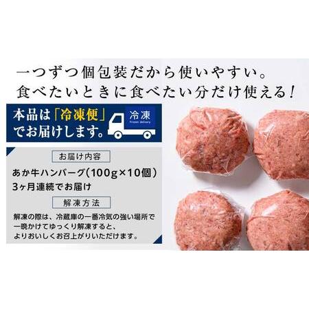 ふるさと納税 FKK19-225_【3ヵ月定期便】あか牛100％ハンバーグ（100g×10個） 熊本県 嘉島町 熊本県嘉島町_2