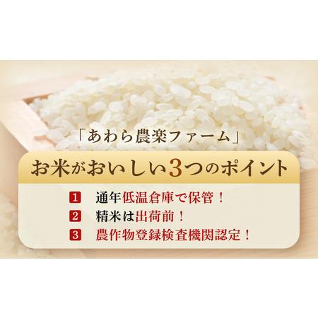 ふるさと納税 【先行予約】【令和8年産・新米】【一等米】《定期便3回》いっちょらい 精米 10kg × 3回（計30kg）／ 福井県産 ブランド米 .. 福井県あわら市の画像