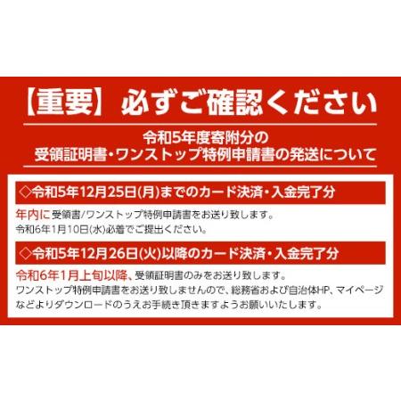 ふるさと納税 南幌リバーサイドゴルフ場 無料プレー券 NP1-101 北海道南幌町 
