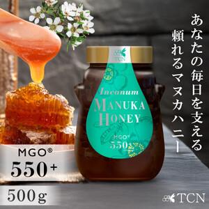 ふるさと納税 【実測値MGO729】インカナム マヌカハニー 500g ふるさと納税 【実測値MGO729】インカナム マヌカハニー 500g