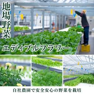 ふるさと納税 i595 ＜2名様・体験宿泊ペアチケット＞ひかりの郷体験宿泊券(1泊2食付・ツインルーム利用)体験 体験チケット 宿泊 ペアチケット .. 鹿児島県出水市の画像