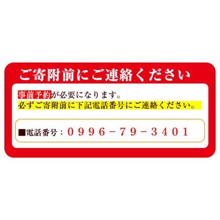ふるさと納税 i595 ＜2名様・体験宿泊ペアチケット＞ひかりの郷体験宿泊券(1泊2食付・ツインルーム利用)体験 体験チケット 宿泊 ペアチケット .. 鹿児島県出水市の画像