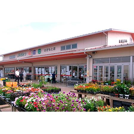 25【新品未使用】 ふるさと納税 ◇【定期便６ヶ月】野菜詰め合わせ＆天羽米コシヒカリ５kg 千葉県富津市 【JSB1665578474】(58650円)