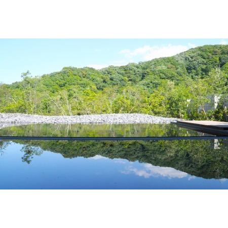 ふるさと納税 VT-02　日本最大級の 商業 リゾート 施設　VISON [ ヴィソン ] ギフト 券 （10，000円分）| 多気町 補助券 ホテル 三重県多気町 