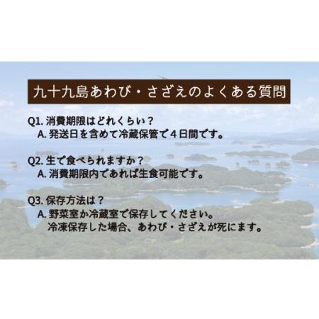 ふるさと納税 九十九島さざえ(2,600g) 長崎県佐世保市｜furunavi｜02