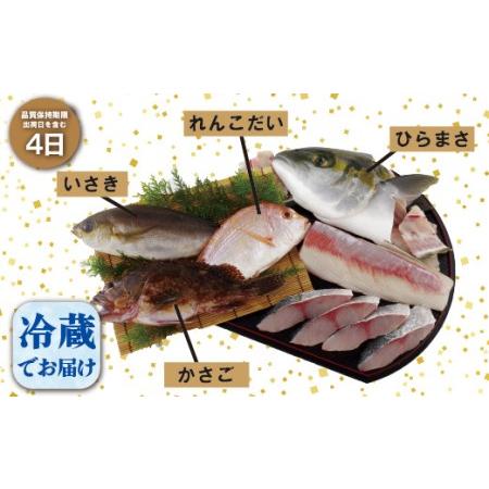 ふるさと納税 五島列島旬の地魚大漁セット(約3人前) 長崎県佐世保市_1