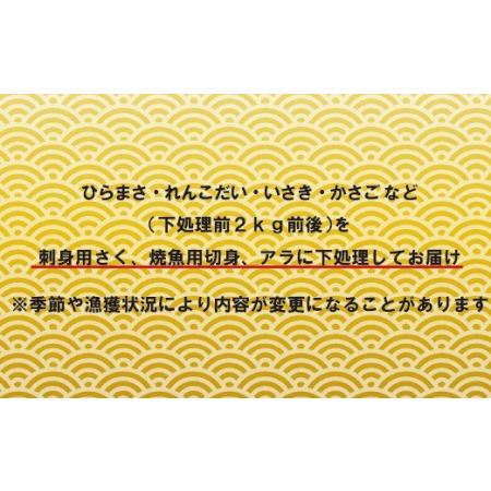 ふるさと納税 五島列島旬の地魚大漁セット(約3人前) 長崎県佐世保市_2