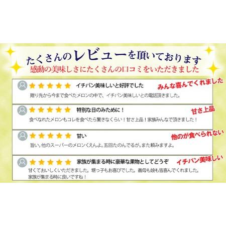 ふるさと納税 クラウンメロン 並 白等級 中玉 1.3kg前後 1玉入り 静岡県浜松市｜furunavi｜03