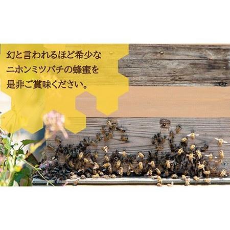 ふるさと納税 【先行予約】ニホンミツバチ 生蜂蜜 600g【2026年6月中旬以降順次発送】《壱岐市》【憲ちゃんハチミツ】[JCL001]  はちみつ ハチミ.. 長崎県壱岐市の画像