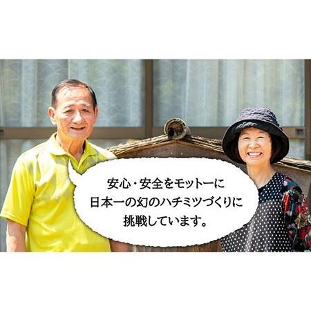 ふるさと納税 【先行予約】ニホンミツバチ 生蜂蜜 600g【2026年6月中旬以降順次発送】《壱岐市》【憲ちゃんハチミツ】[JCL001]  はちみつ ハチミ.. 長崎県壱岐市の画像