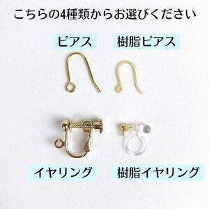 ふるさと納税 屋久杉×2月誕生石　樹脂イヤリング 鹿児島県屋久島町_4