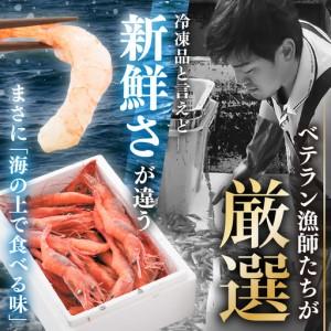 ふるさと納税 甘エビ 1.1kg (550g×2箱) 中サイズ エビ 冷凍 [A-23103] 福井県坂井市_2