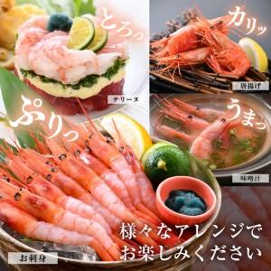 ふるさと納税 甘エビ 1.1kg (550g×2箱) 中サイズ エビ 冷凍 [A-23103] 福井県坂井市_3