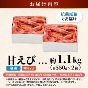 ふるさと納税 甘エビ 1.1kg (550g×2箱) 中サイズ エビ 冷凍 [A-23103] 福井県坂井市_4
