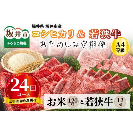 ふるさと納税 [日本最長頒布会 24回コース] 坂井市産コシヒカリ 計120kg + 若狭牛A4等級がっつり 計12kg[S-3201] 福井県坂井市