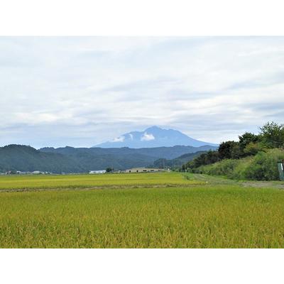 ふるさと納税 令和5年産 まっしぐら 無洗米 20kg（10kg×2袋）※令和5年10月上旬より順次お届け 青森県鰺ヶ沢町産　山下農園 青森県鰺ヶ沢町 10kg×2袋