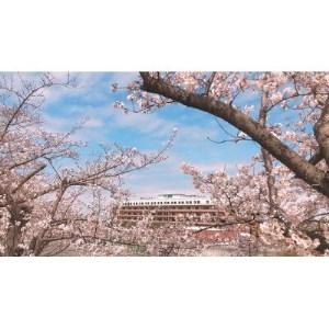 【新品】 ふるさと納税 【PL病院】人間ドックBコース【1278589】 大阪府富田林市 【D4691440126】(165200円)