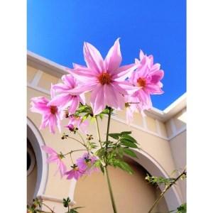 【新品】 ふるさと納税 【PL病院】人間ドックBコース【1278589】 大阪府富田林市 【D4691440126】(165200円)