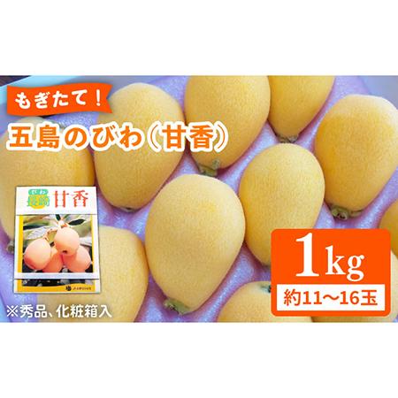 ふるさと納税 [数量限定]もぎたて!五島のびわ(甘香)化粧箱入 秀品 1kg[ごとう農業協同組合][PEM002] 長崎県五島市