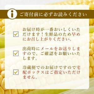 ふるさと納税 【2026年先行予約】山梨県産 ヤングコーン 30本入