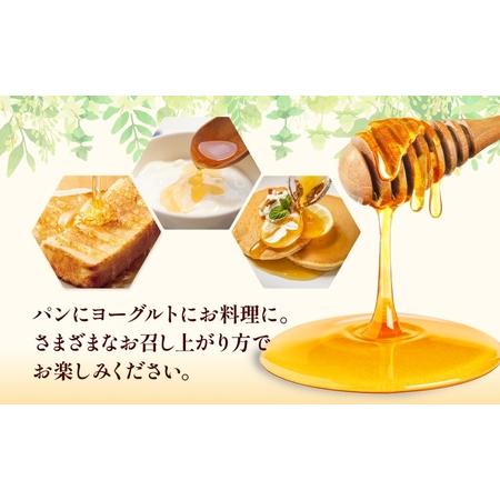 ふるさと納税 アルゼンチン\u0026カナダ産はちみつ720g 3本入り 海外産 はちみつ 詰め合わせ ギフト ハニー honey 蜂蜜 甘味料 ハチミツ パン 菓.. 岐阜県安八町の画像