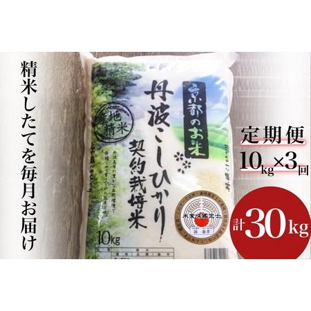 ふるさと納税 [3回定期便]令和7年産新米 コシヒカリ 10kg 定期便 精米 白米 京都府亀岡市