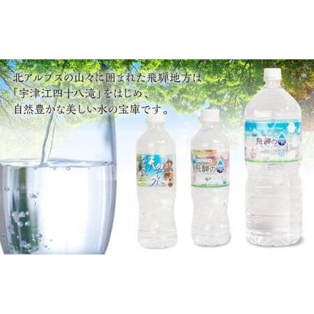 ふるさと納税 【12回 定期便】天然水 飛騨の雫 500ml×48本 (2ケース)  |12ヶ月 天然水 ミネラルウォーター  500ミリリットル 白啓酒店 JS10.. 岐阜県高山市の画像