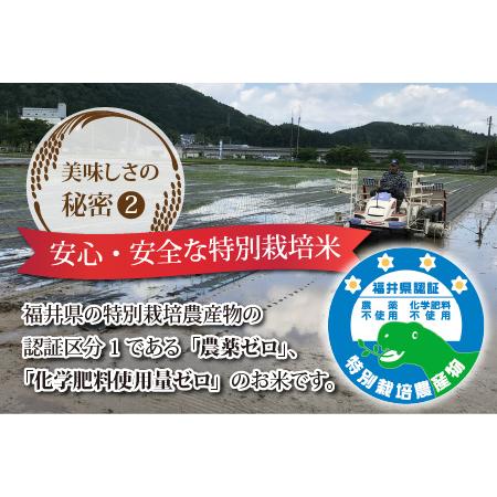 ふるさと納税 【先行予約】【12ヶ月連続お届け】【新米】【白米】令和5年度産 永平寺町産 農薬不使用・化学肥料不使用 特別栽培米 コシヒ.. 福井県永平寺町
