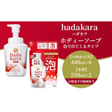ふるさと納税 hadakara ( ハダカラ ) オリジナルセット 泡タイプ《本体