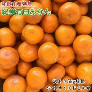 ふるさと納税 [訳あり]和歌山有田みかん約5kg（S〜Lサイズいずれかお