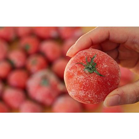 ふるさと納税 冷凍トマト・お試し30個／約1.5kg 冷凍で皮むき簡単。保存がきく！ 高知県日高村
