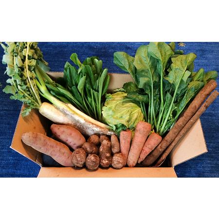 ふるさと納税 野菜 おかげさま農場 おまかせセット 詰め合わせ 野菜 千葉県成田市