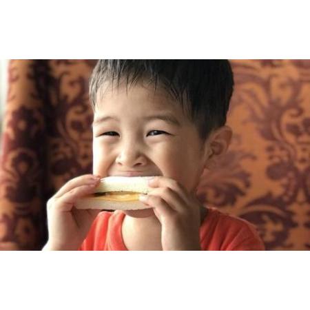 ふるさと納税 出張Tripシッター５時間パック　お客様のご希望場所にてお子様をお預かり｜★事前予約要★ 沖縄県恩納村