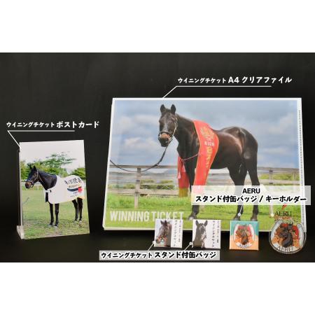 ふるさと納税 優駿ビレッジAERU G1馬「ウイニングチケット」オリジナルグッズ(計6個)[07-1083] 北海道浦河町の画像