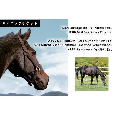 ふるさと納税 優駿ビレッジAERU G1馬「ウイニングチケット」オリジナルグッズ(計6個)[07-1083] 北海道浦河町の画像