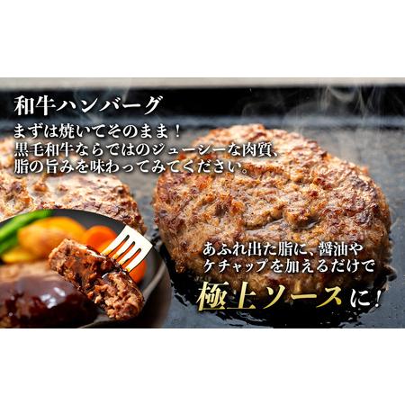 ふるさと納税 【希少な黒毛和牛】天龍牛生ハンバーグ150g×5個 ハンバーグ 天龍牛 黒毛和牛 長野県産 信州産 お肉 国産 希少 長野県箕輪町｜furunavi｜03