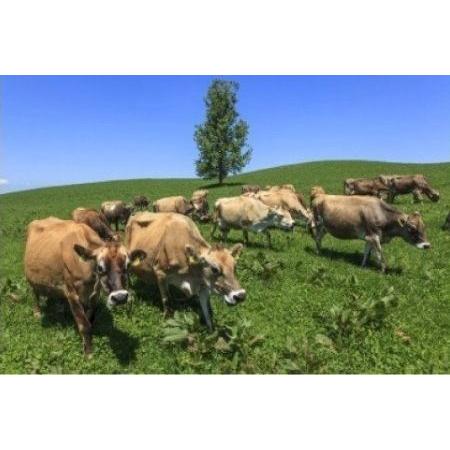 ★動作確認済み ふるさと納税 美瑛放牧酪農場　乳製品の定期便（3回便）[052-04] 北海道美瑛町 【RIZ7531263975】(26520円)