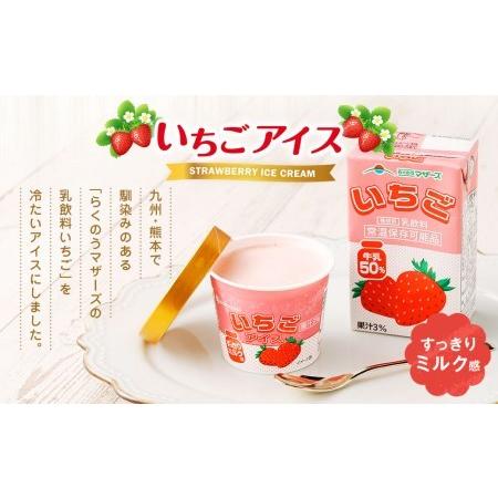 ふるさと納税 いちごアイス 110ml×36個セット いちご 苺 アイスクリーム スイーツ 熊本県菊池市|furunavi|02