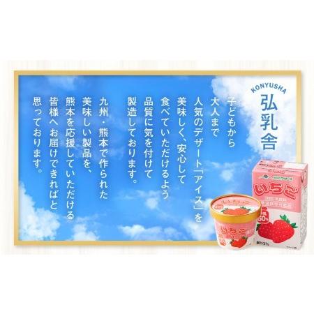 ふるさと納税 いちごアイス 110ml×36個セット いちご 苺 アイスクリーム スイーツ 熊本県菊池市|furunavi|05