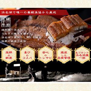 ふるさと納税 浜名湖産うなぎ大満足特盛セット（長白焼・長蒲焼150g×各4、カット蒲焼110g×8）【国産うなぎ】【配送不可：離島】 鰻 ふ.. 静岡県浜松市_3
