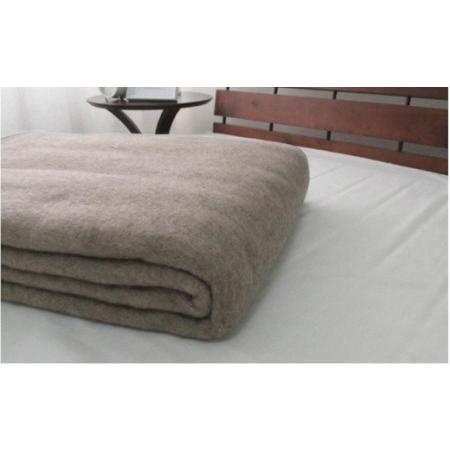 ふるさと納税 繊維の宝石カシミヤ100%（毛羽部分）毛布 シングルサイズ