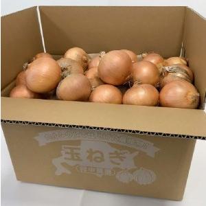 ふるさと納税 【Z6-015】【農家直送】村中さんちの玉ねぎ 10kg混玉(Lサイズ)【2022年9月中旬から順次発送】 北海道北見市|furunavi|03