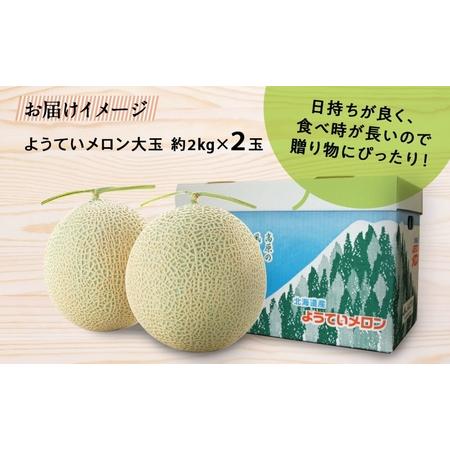 ふるさと納税 北海道 赤肉メロン 大玉 約2kg 2玉 メロン 赤肉 果物 フルーツ 甘い 完熟 スイーツ デザート 産直 国産 贈答品 お祝いギフト羊蹄.. 北海道倶知安町｜furunavi｜04