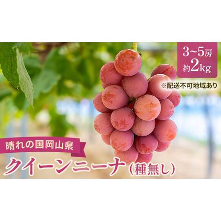 ふるさと納税 【2026年先行予約】 ぶどう 岡山県産 クイーンニーナ
