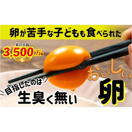 ふるさと納税 植物性のエサしか食べさせないから違いが出る!卵 6個×5P/Gbn-A03 高知県四万十町