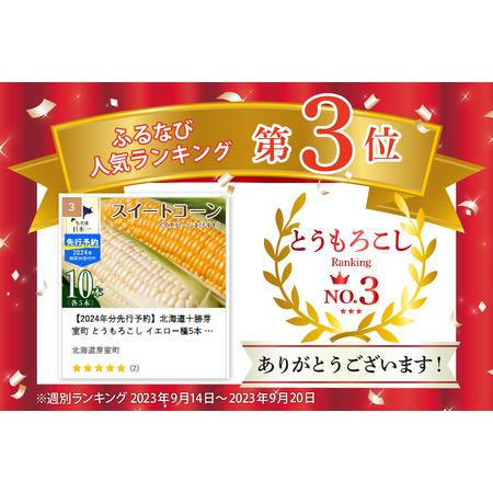 ふるさと納税 レビューキャンペーン実施中！【2025年分先行予約】北海道十勝芽室町 とうもろこし イエロー種5本 ホワイト種5本 とうもろこし ト.. 北海道芽室町