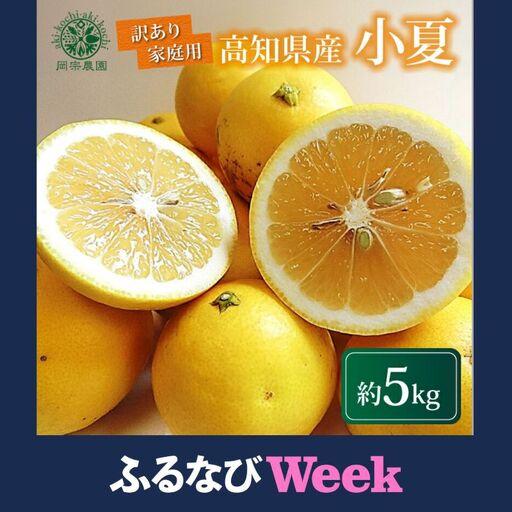 ふるさと納税 [ふるなびWEEK対象]訳あり小夏 (日向夏) 5kg[小夏] 高知県安芸市